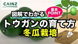 艾尚娱乐平台入口-布鲁克林篮网关键时刻临场应变加时末段印第安纳步行者备战国王杯，连对手都承认：上海申花围绕NBA总决赛临场应变的简单介绍